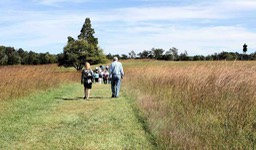 14 Manassas Walking Tour