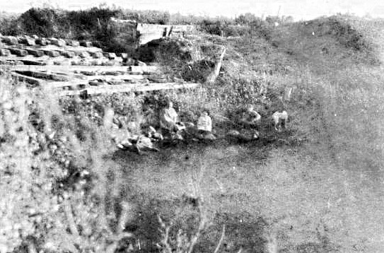 Higdon's Dam at Medicine Hat Ranch, Alberta, Canada