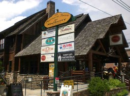 19 BlueRidgeGA_MiniMall2