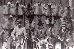 Arp, Charles P., Raccoon Hunting in North Georgia