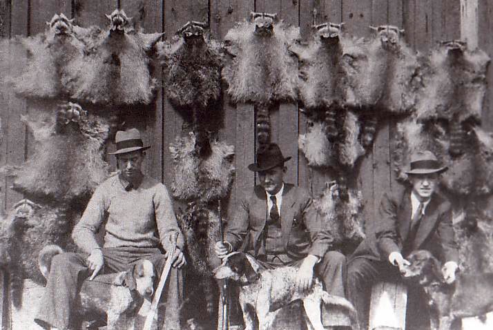 Arp, Charles P., Raccoon Hunting in North Georgia