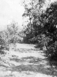 Lover's lane on Higdon's lease near Manyberries